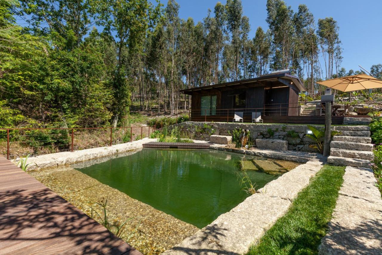 Vila Casa Do Monte Da Veiga - Minho'S Guest Póvoa de Lanhoso Exteriér fotografie